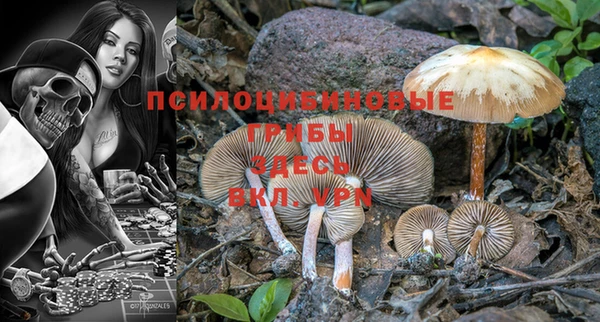 марки lsd Армянск