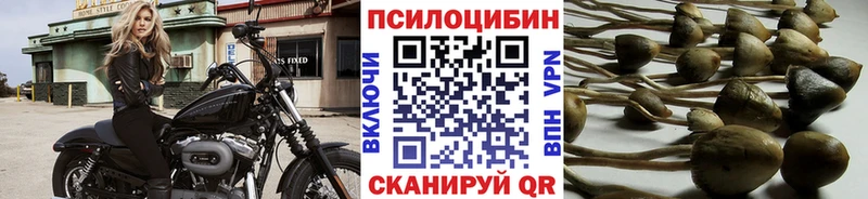 Галлюциногенные грибы Psilocybine cubensis  мега маркетплейс  Радужный 